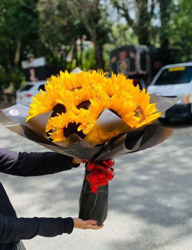 Boquete Nuevo Amanecer - Distri Regalos